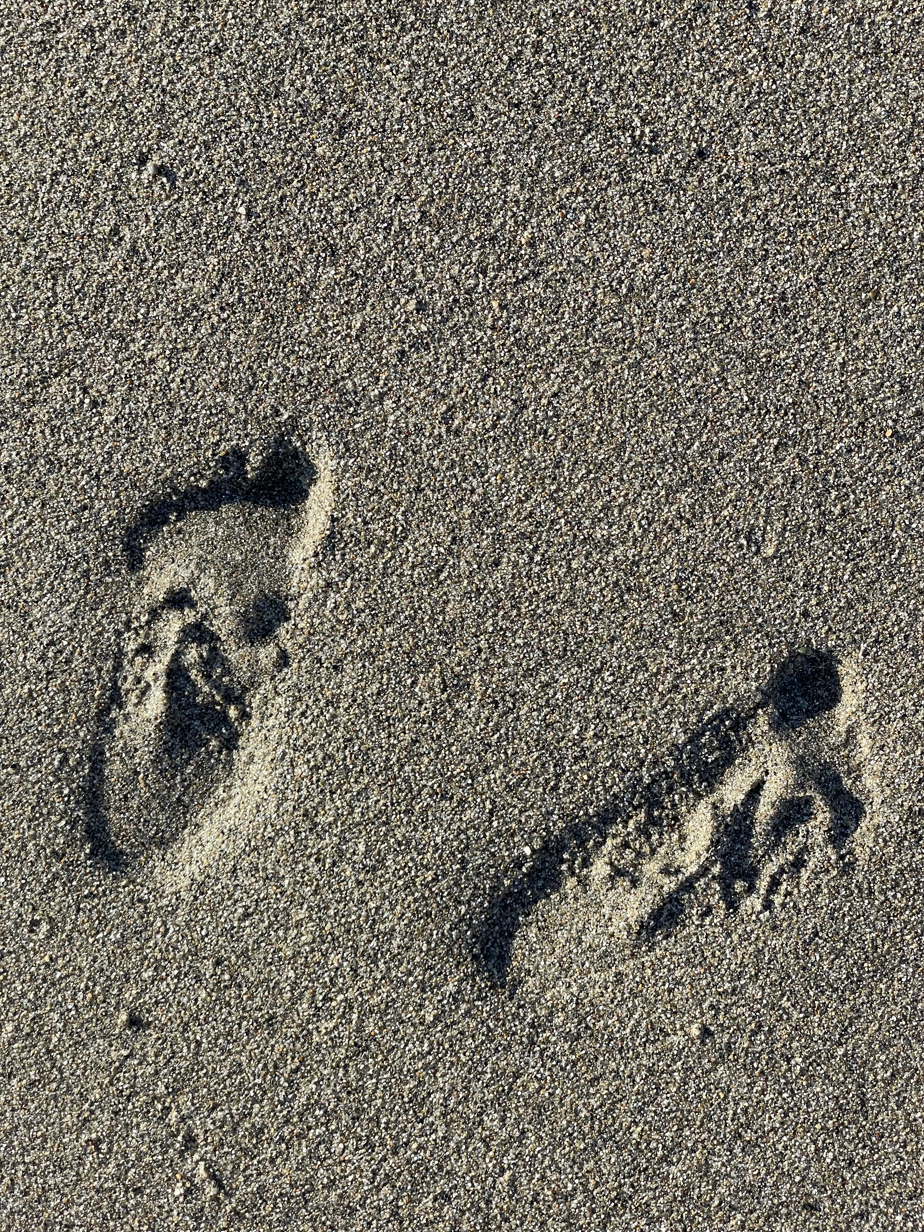 Footprints in the sand